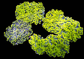 Lime Green Octospawn