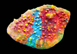 ULPS Supernova Glitter Chalice