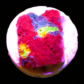 Rainbow Chalice